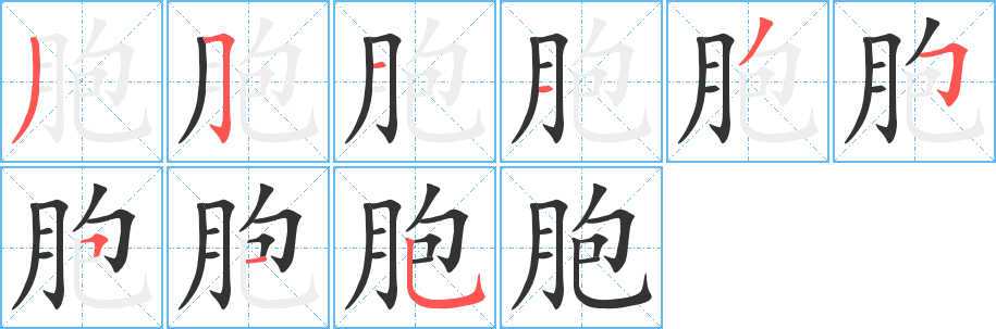 胞字的笔画顺序