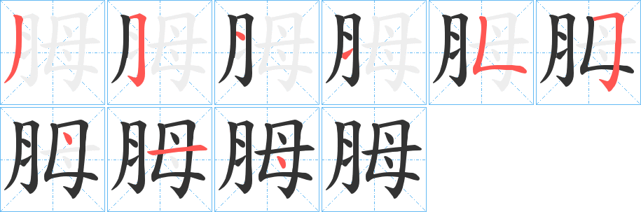胟字的笔画顺序