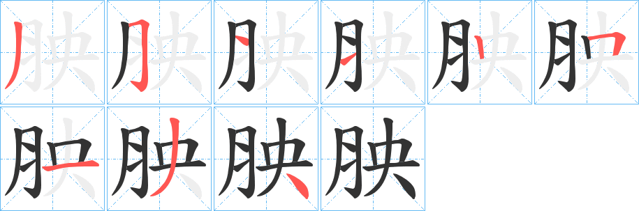 胦字的笔画顺序