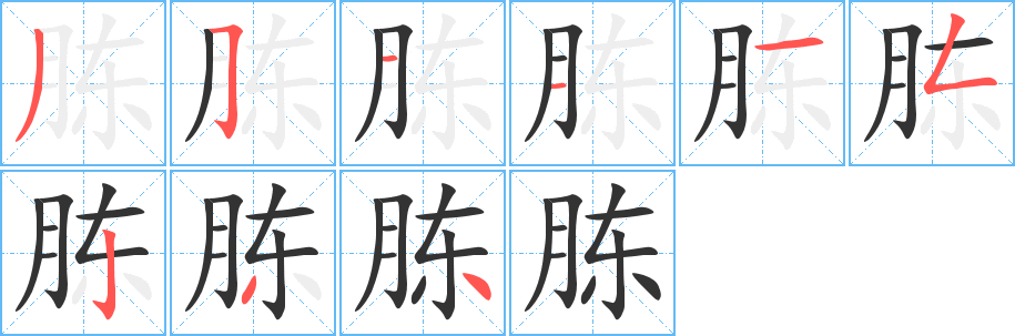 胨字的笔画顺序