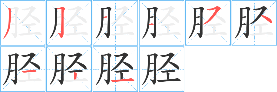 胫字的笔画顺序