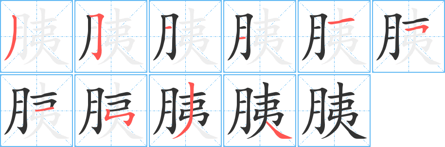 胰字的笔画顺序