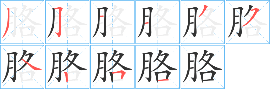 胳字的笔画顺序