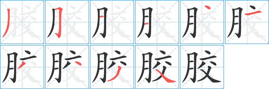 胶字的笔画顺序