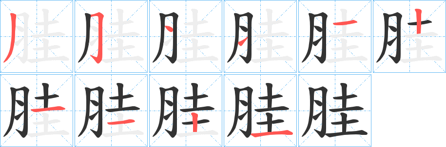 胿字的笔画顺序