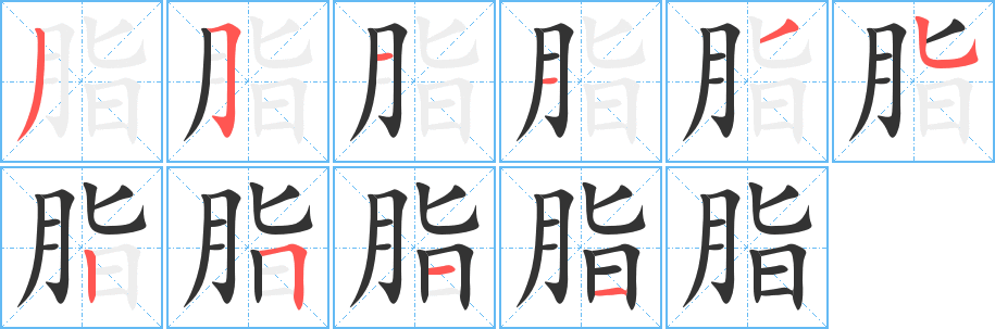 脂字的笔画顺序