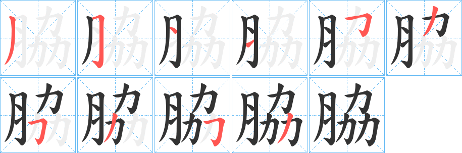 脇字的笔画顺序