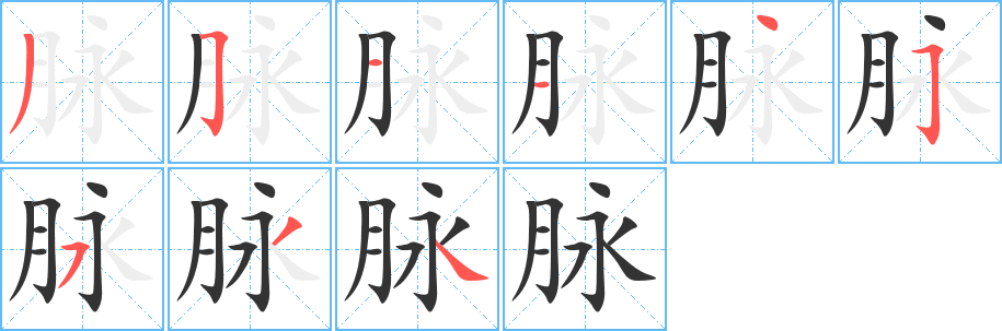 脉字的笔画顺序