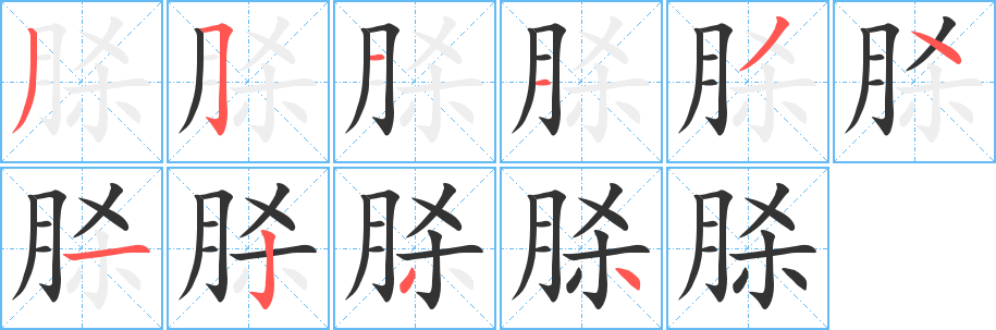 脎字的笔画顺序