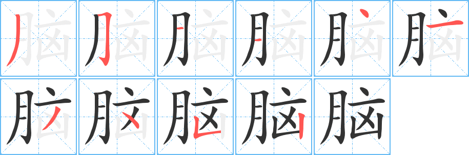 脑字的笔画顺序