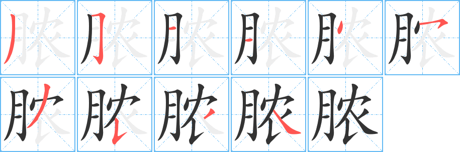 脓字的笔画顺序
