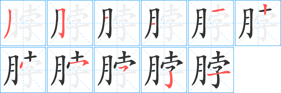 脖字的笔画顺序