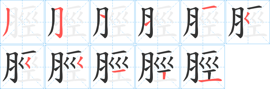 脛字的笔画顺序