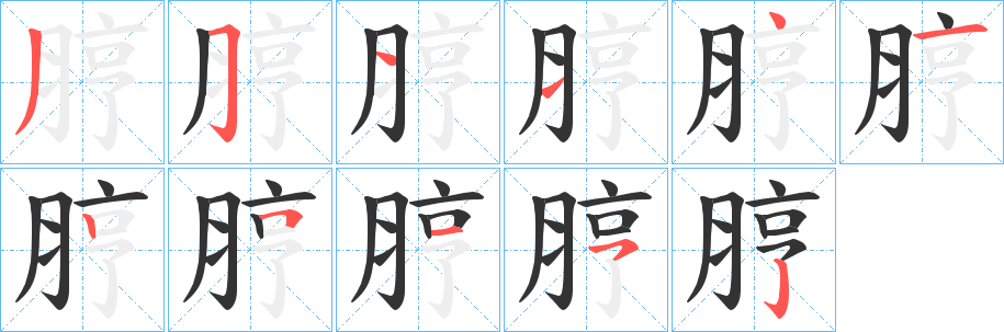 脝字的笔画顺序