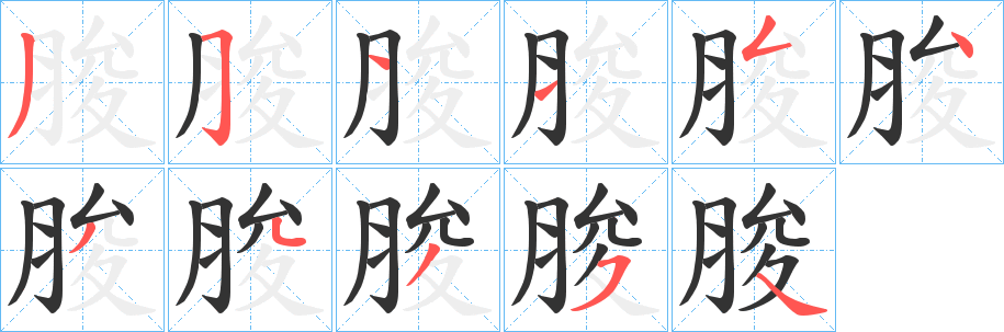 脧字的笔画顺序