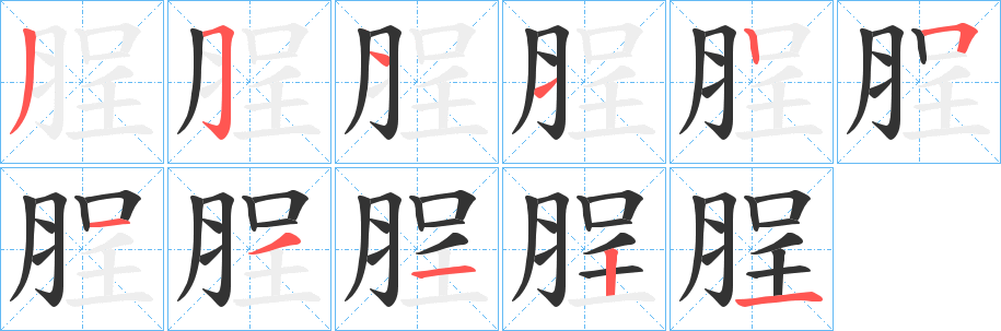 脭字的笔画顺序