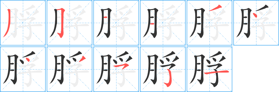 脬字的笔画顺序