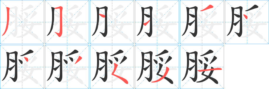 脮字的笔画顺序