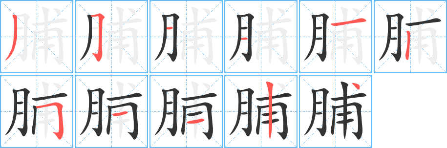 脯字的笔画顺序