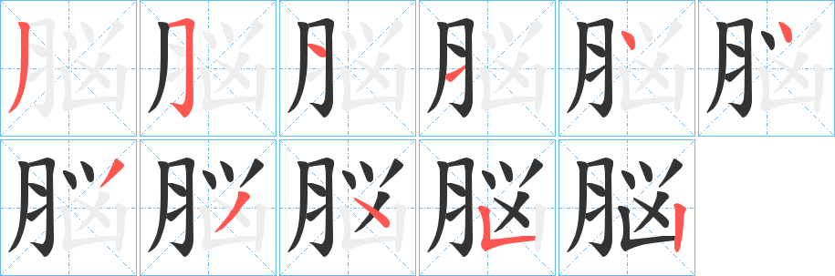 脳字的笔画顺序