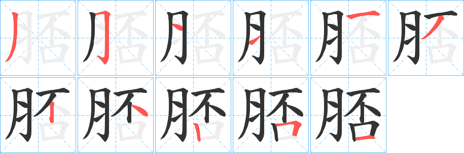 脴字的笔画顺序