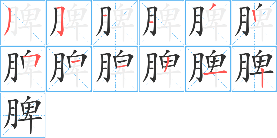 脾字的笔画顺序