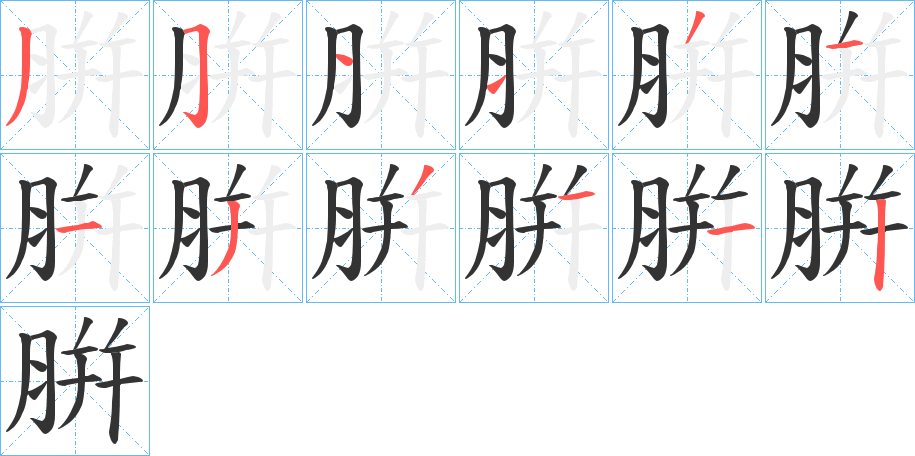 腁字的笔画顺序