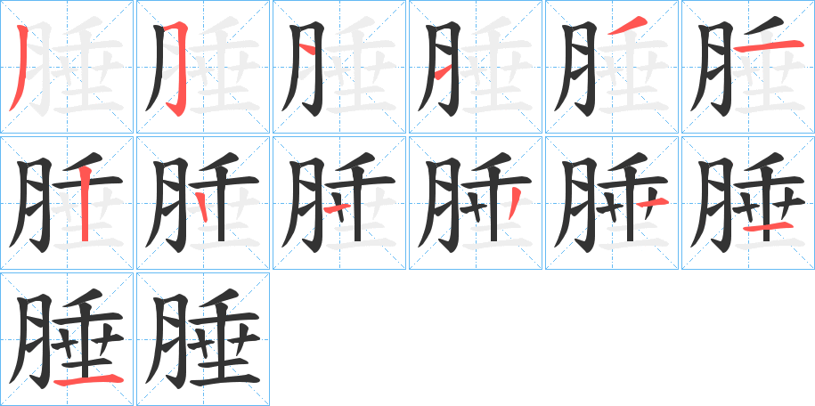 腄字的笔画顺序