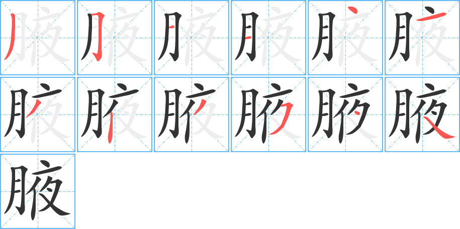 腋字的笔画顺序