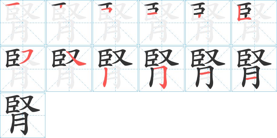 腎字的笔画顺序