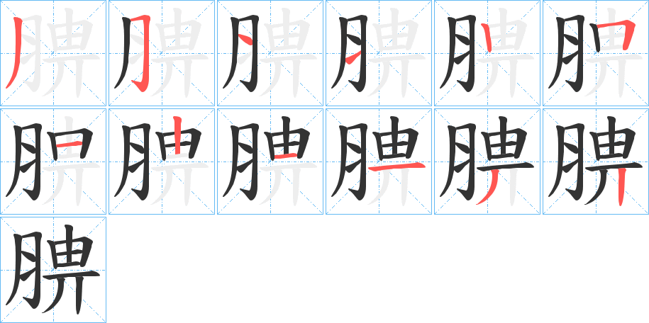 腗字的笔画顺序