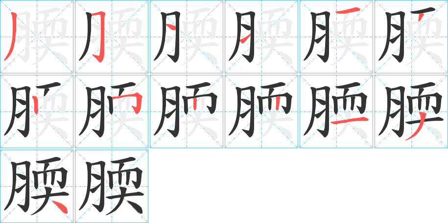 腝字的笔画顺序