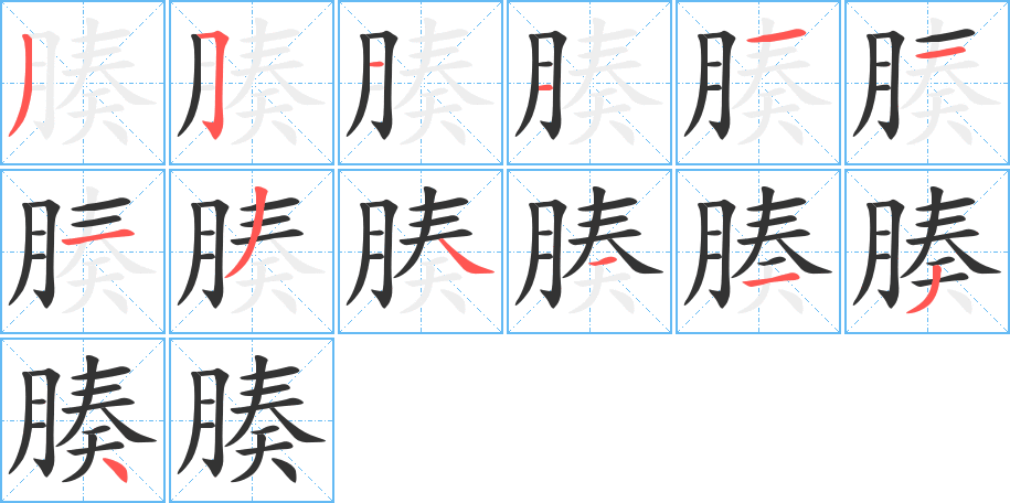 腠字的笔画顺序