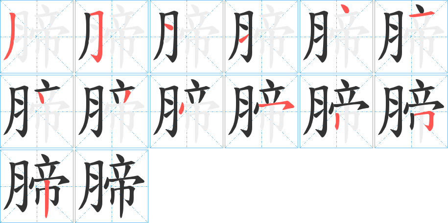 腣字的笔画顺序