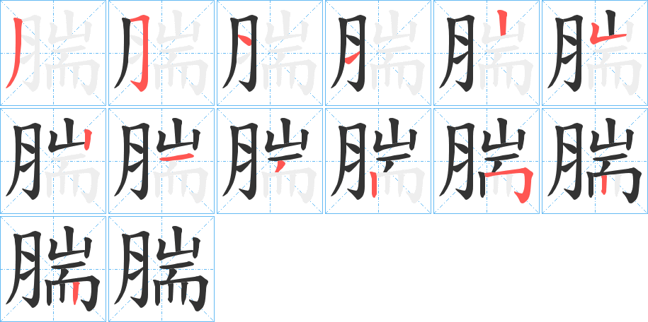 腨字的笔画顺序