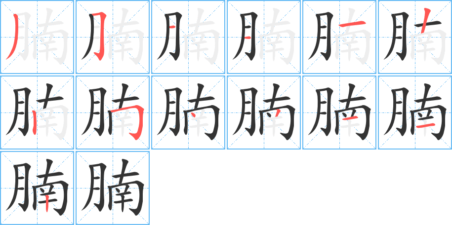 腩字的笔画顺序