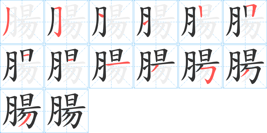 腸字的笔画顺序