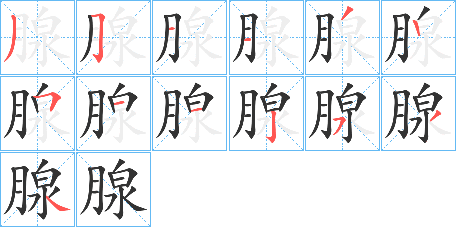 腺字的笔画顺序