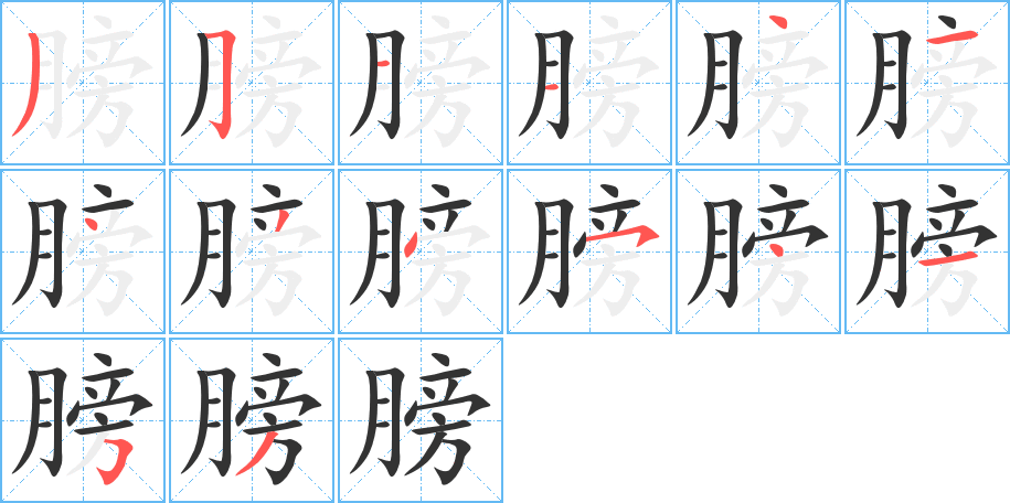 膀字的笔画顺序