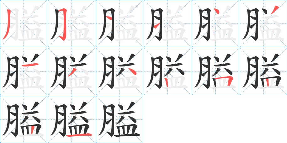 膉字的笔画顺序