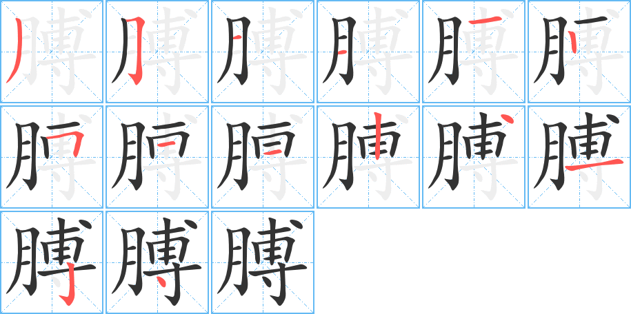 膊字的笔画顺序
