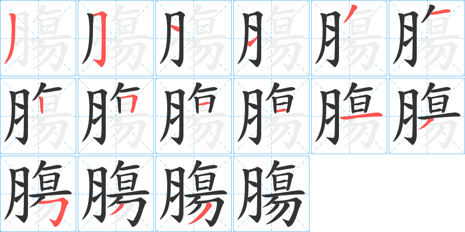 膓字的笔画顺序