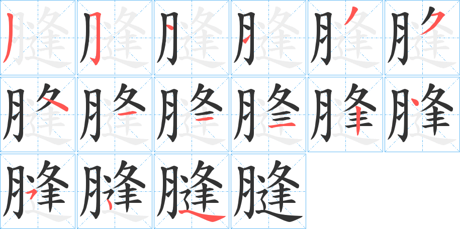 膖字的笔画顺序