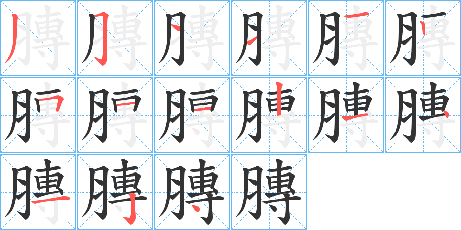 膞字的笔画顺序
