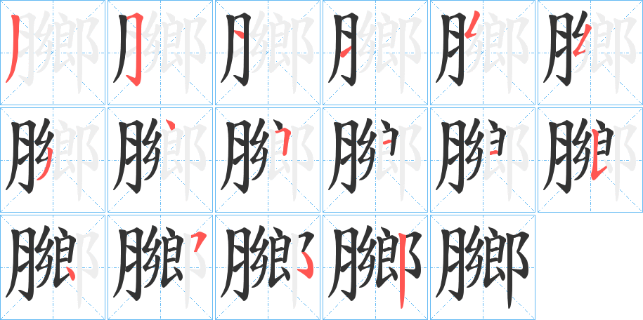 膷字的笔画顺序