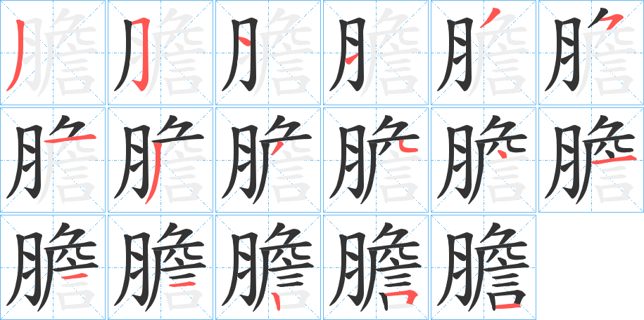 膽字的笔画顺序