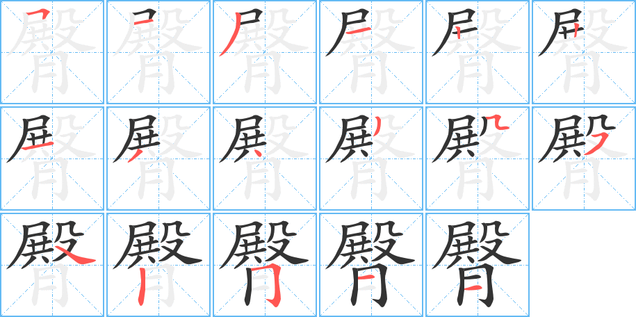 臀字的笔画顺序