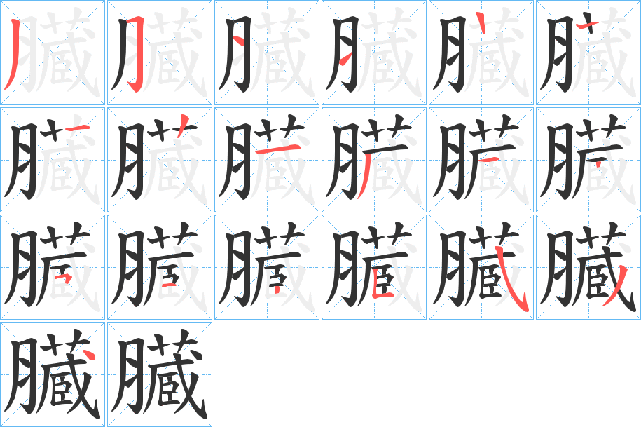 臓字的笔画顺序