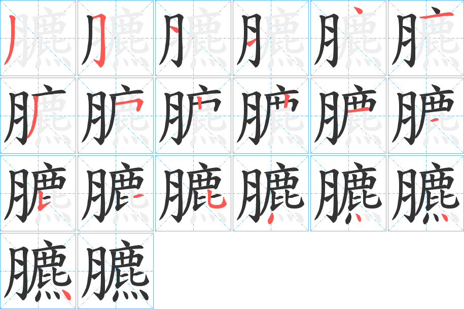 臕字的笔画顺序