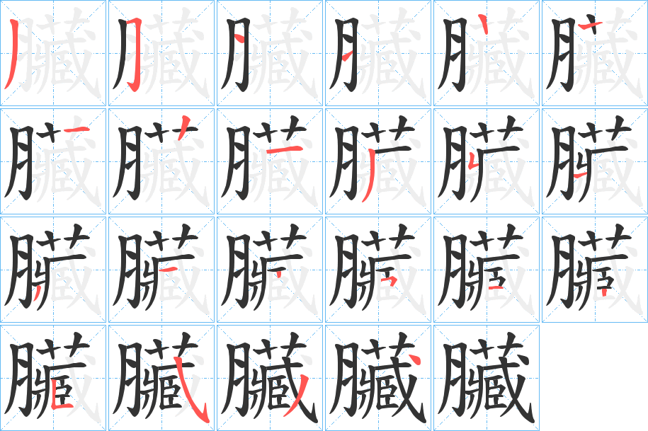臟字的笔画顺序